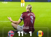 熊猫直播-哈兰德遭遇十五连败，独行侠教练面临压力！的简单介绍